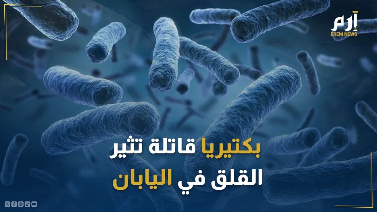 آكلة للحوم وتقتل في يومين.. انتشار بكتيريا يثير القلق في اليابان!