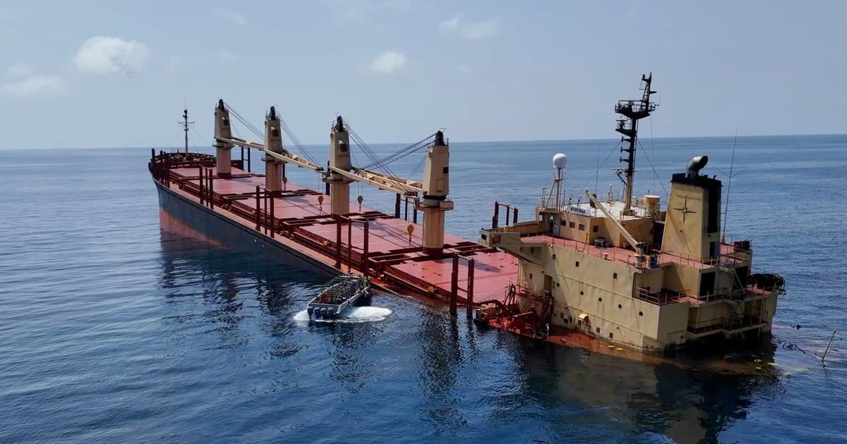 إثر استهداف حوثي.. نفوق الأسماك في سواحل اليمن وتحذير من التلوث