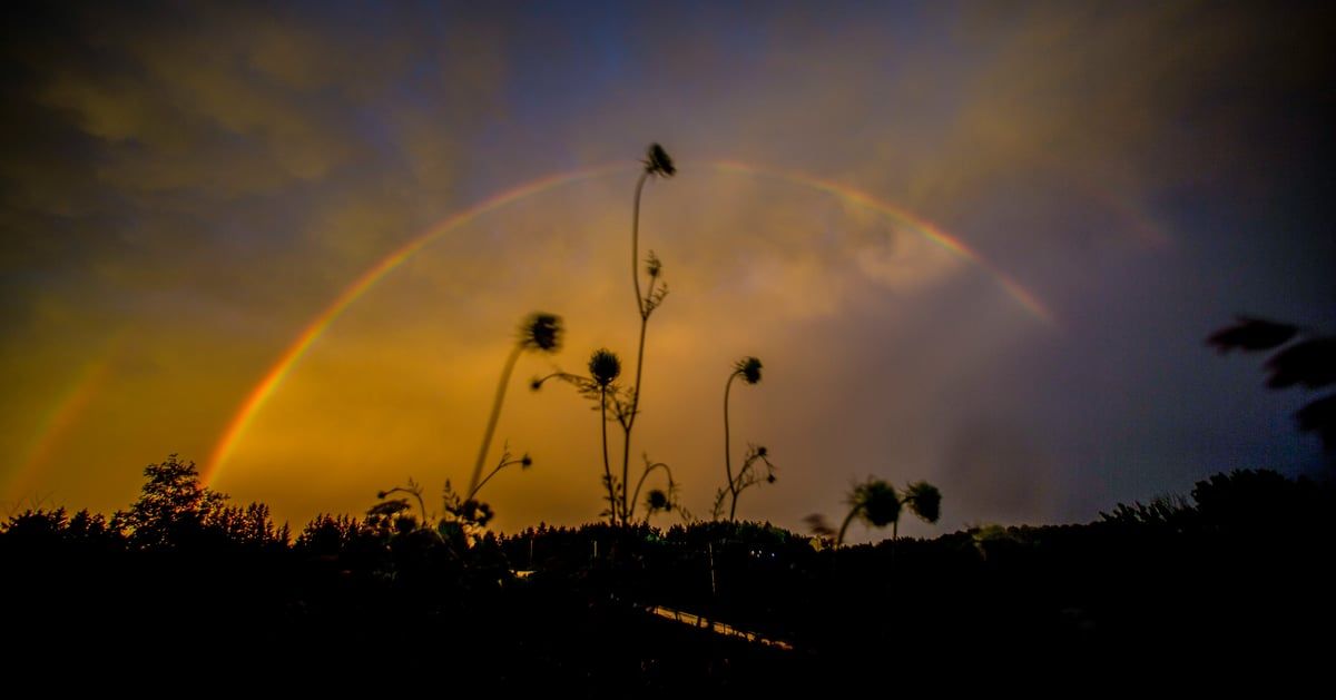 تسبب درجات قياسية.. ما هي "القباب الحرارية"؟