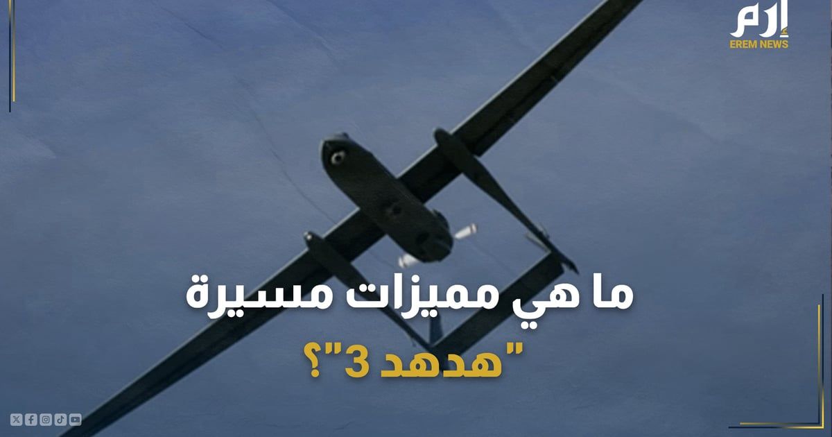 بلا بصمة حرارية أو صوتية.. ما مميزات مسيّرة "هدهد 3" التي اخترقت إسرائيل؟