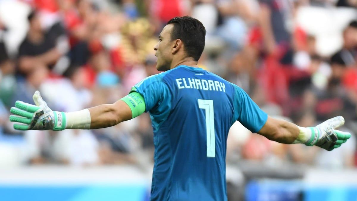 عصام الحضري ينتقد تعيين حسام حسن مدربا لمنتخب مصر