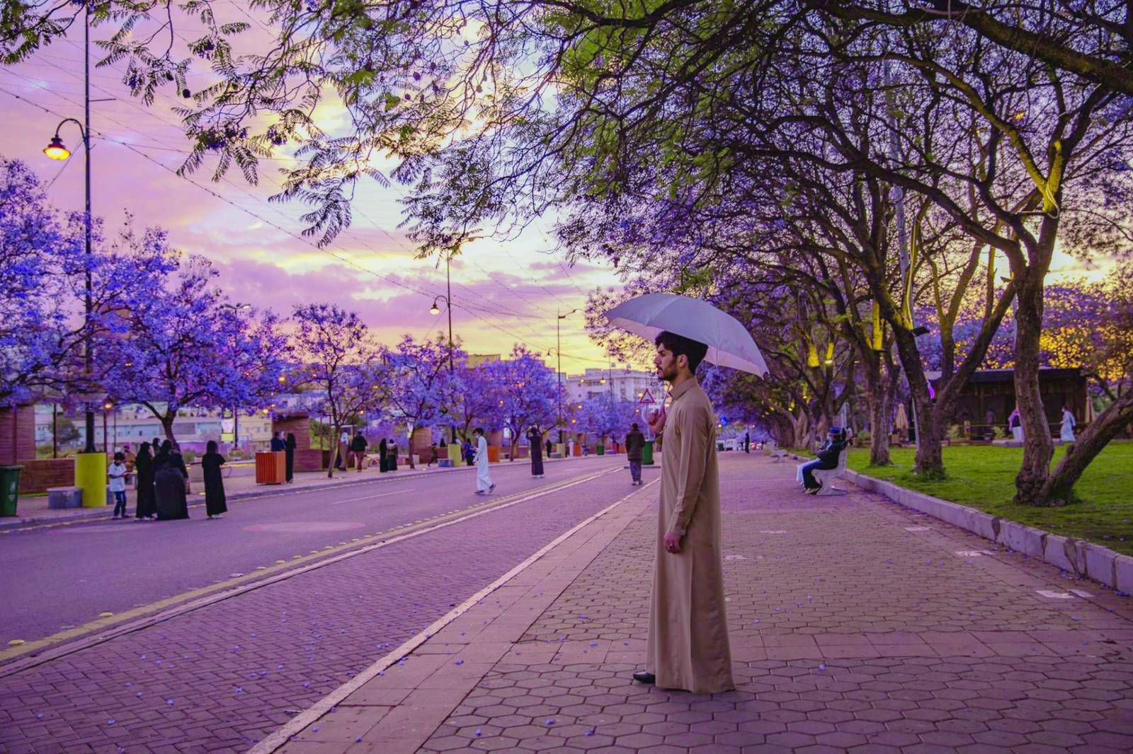 5 وجهات مميزة | أفضل أماكن رحلات علاجية في السعودية - موقع الخليج الان