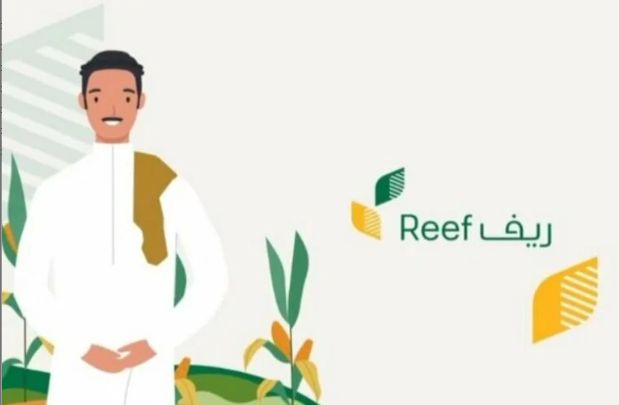 تعرف عليها الآن | ما شروط الدعم الريفي.. من هم المستفيدين من البرنامج؟ - موقع الخليج الان