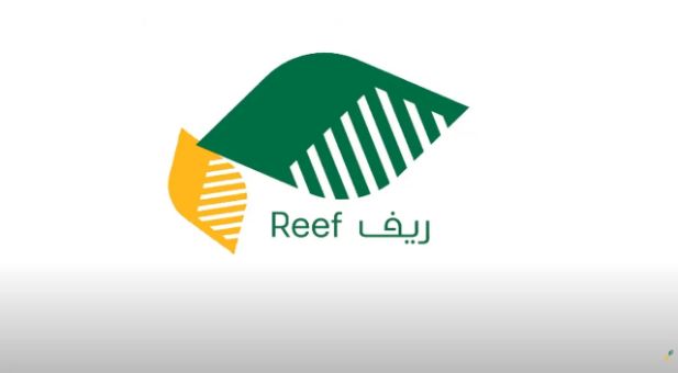 تعرف عليها الآن | ما شروط الدعم الريفي.. من هم المستفيدين من البرنامج؟ - موقع الخليج الان