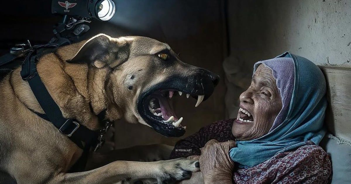 العجوز والكلب.. صورة من غزة تغزو مواقع التواصل