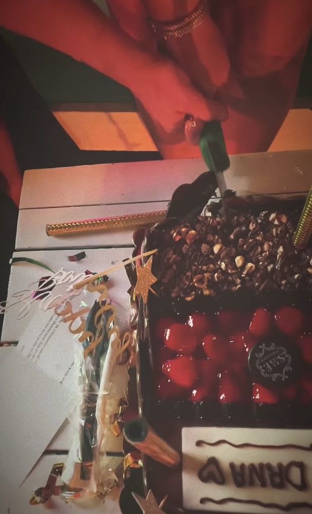 هجوم واسع على الفنانة السورية دانا مارديني بسبب حفل عيد ميلادها (صور)