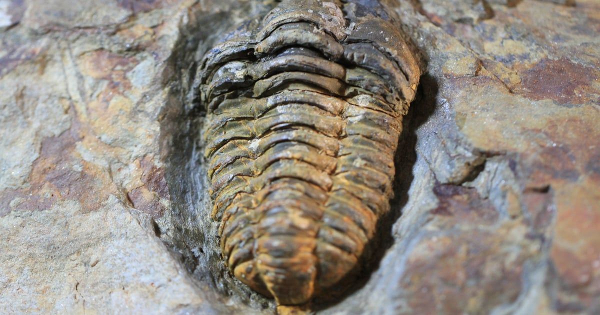 المغرب يعلن عن اكتشاف فريد من نوعه محفوظ بالرماد البركاني