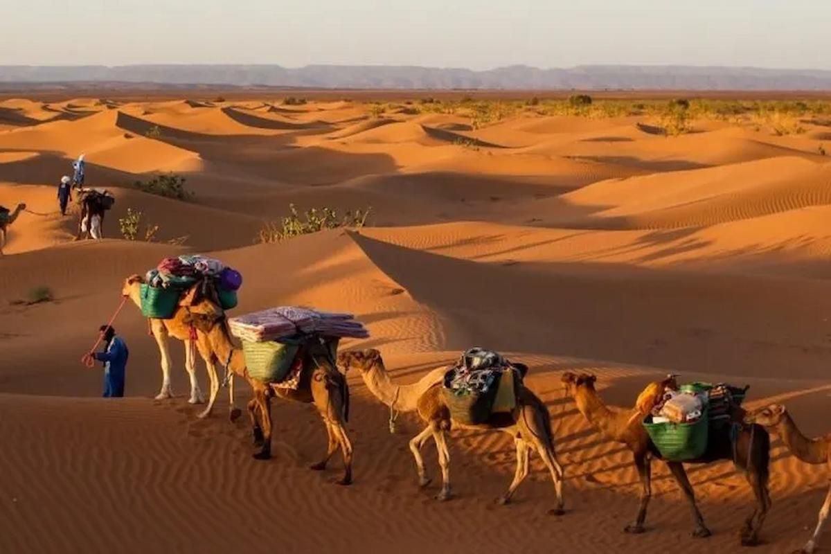 909 رمز أي قبيلة؟ وأبرز ما تشتهر به القبيلة - موقع الخليج الان