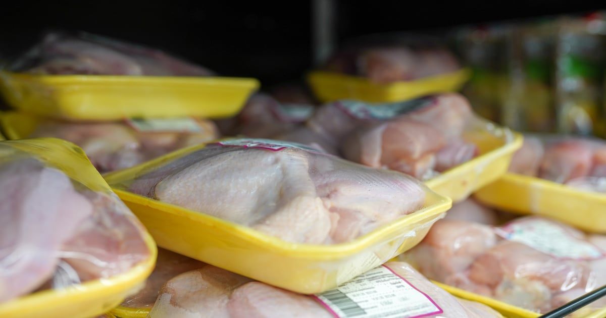 ناشطون غاضبون يغلقون مسلخ دواجن في سويسرا