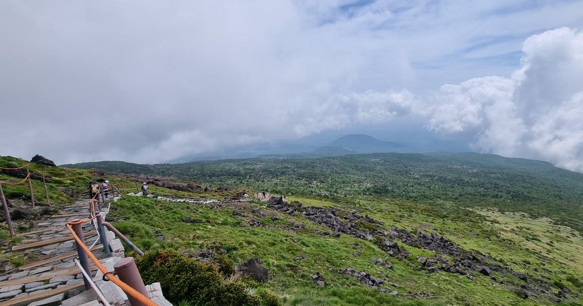 "حساء الشعيرية" يهدد الحياة البيئية على جبل "هالا" في كوريا الجنوبية
