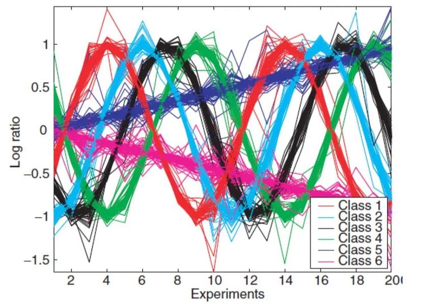 باحثون عُمانيون يطورون معادلة رياضية ثورية لتعزيز كفاءة خوارزميات الذكاء الاصطناعي - موقع الخليج الان