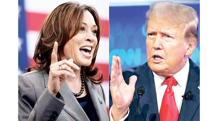 هاريس تضمن الأصوات الديمقراطية اللازمة للترشح عن الحزب