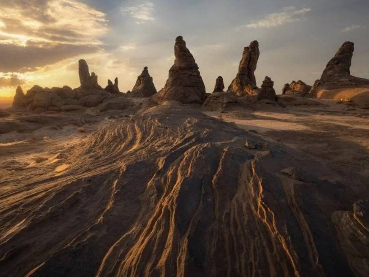 اعرف التفاصيل | تنفيذ الخطة المتكاملة للتطوير والتنمية لمحمية الأمير محمد بن سلمان الملكية - موقع الخليج الان