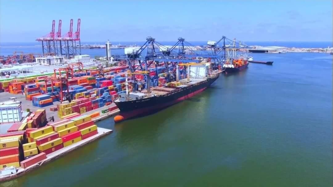 5.6 مليون طن صادرات مصر الزراعية خلال 8 شهور