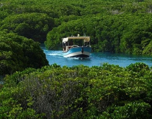 كم تبعد جزيرة فرسان عن جازان؟ وكم عدد الجزر فيها؟