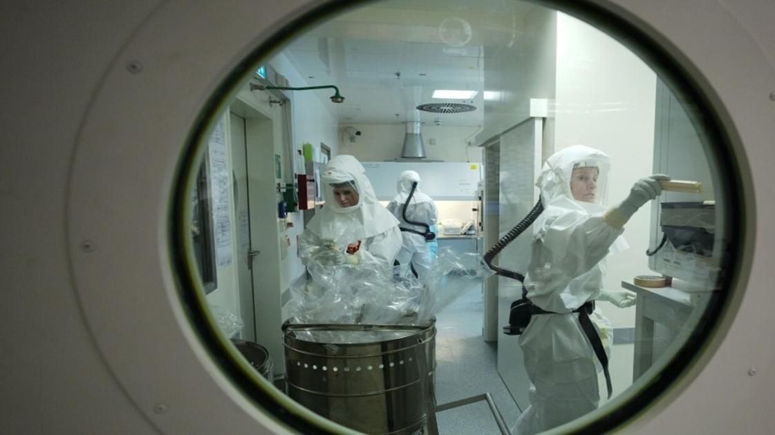 إصابة أجنبي بالسلالة الفرعية «1بي» من جدري القردة في تايلاند