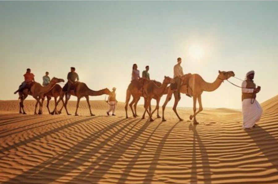 الحذيفي وش يرجع؟! نسب الحذيفي وديرتهم - موقع الخليج الان