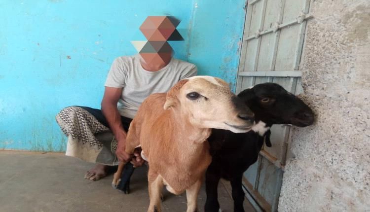 ضبط لص يسرق الاغنام بالحوطة..