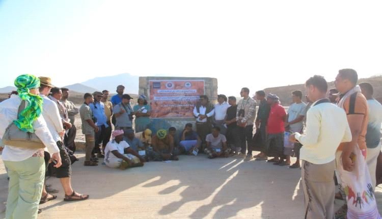 أرخبيل سقطرى تحتفي باليوم العالمي للطيور الجارحة