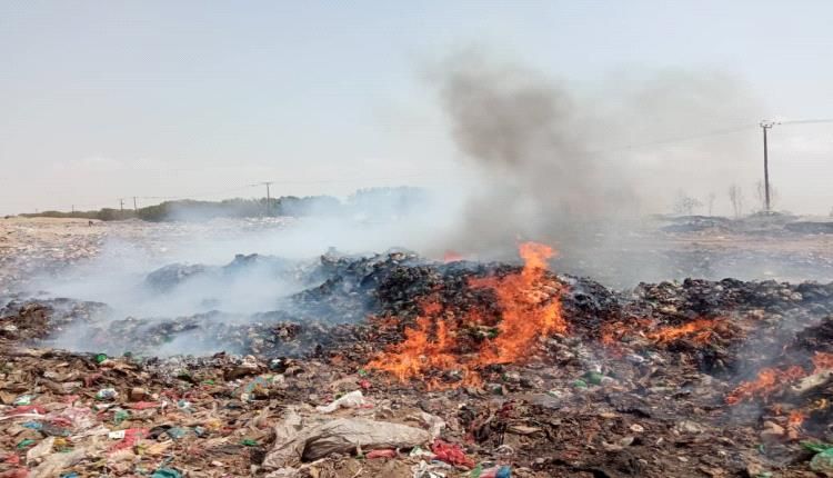 جمارك المنطقة الحرة عدن يتلف شحنة جديدة من الدجاج المجمد