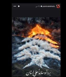 ياسمين عبدالعزيز تدعم لبنان بوجه العدوان الإسرائيلي.. إليكم ما نشرته (صور)