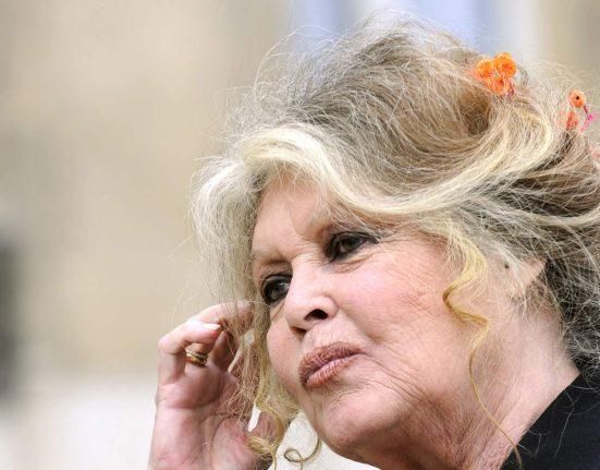 بريجيت باردو قبل أيام من عيدها التسعين: لا أكترث للشيخوخة