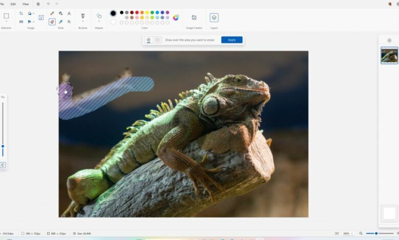 مايكروسوفت تضيف مزايا ذكاء اصطناعي جديدة إلى تطبيقي الصور والرسّام - موقع الخليج الان