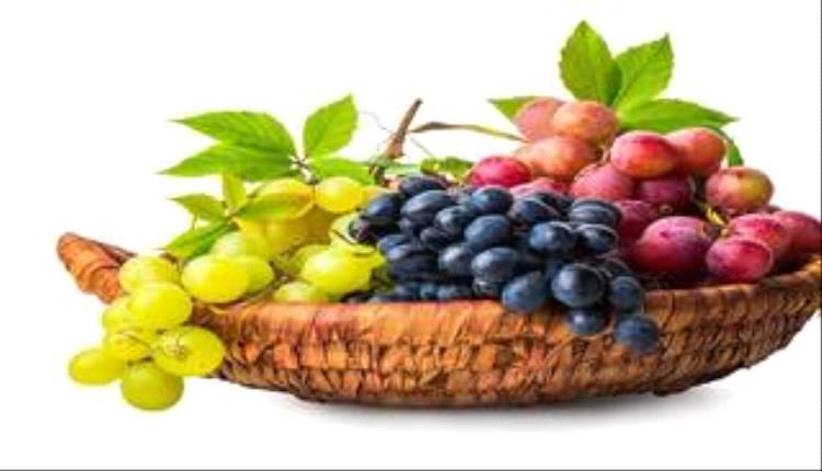 أطباء: العنب الغامق أكثر فائدة للصحة