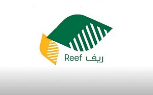 ما القطاعات التي يشملها دعم ريف 1446 وما خطوات التسجيل للاستفادة؟ وزارة البيئة والمياه والزراعة تجيب