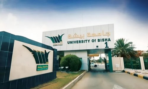 استعلم عن وظائف جامعة بيشة 1446 بنظام التعاقد عبر منصة التوظيف jobs.ub.edu.sa.. الشروط والمستندات المطلوبة