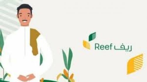 متى موعد نزول دعم ريف دفعة نوفمبر 2024؟ .. وزارة البيئة والمياه تحدد موعد الصرف