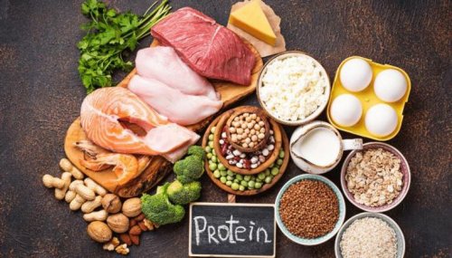 حساب السعرات الحرارية من مصادر البروتين والغذاء