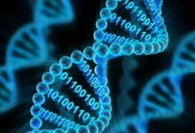باحثون يبتكرون طريقة جديدة لتخزين البيانات في الحمض النووي - موقع الخليج الان