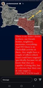 ممثل لبنانيّ غاضب جدّاً من إستهداف إسرائيل لمدينة صور: منزل شقيقتي هناك