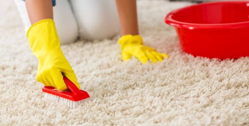 ودعي تعب غسيل سجادك.. اكتشفي الطريقة الفعالة لتنظيف السجاد في مكانه بدون مياه وبدون مجهود على الناشف