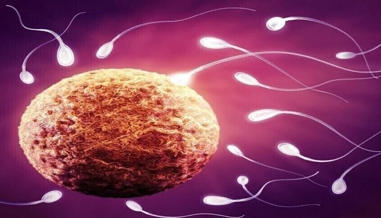 الكشف عن الأسباب الشائعة وراء العقم لدى الرجال