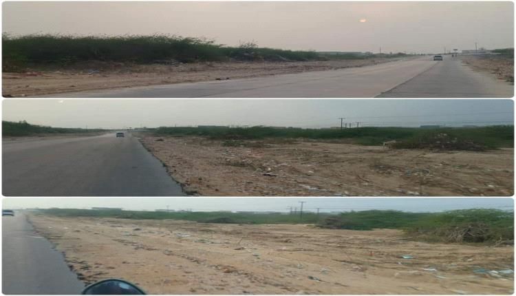 تحركات جادة لإزالة الأشجار المعيقة من على طريق دولي بحضرموت