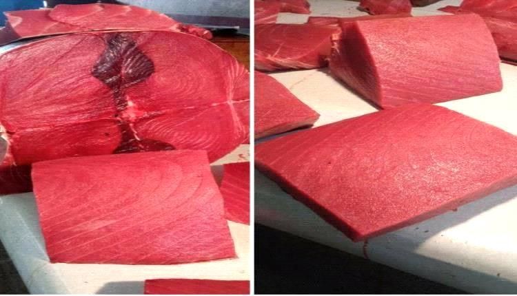 ارتفاع جديد في اسعار سمك الثمد اليوم السبت 30 نوفمبر