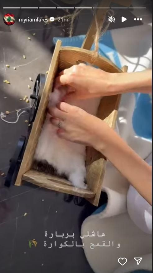 بالصور: احتفلوا بعيد البربارة.. شاهدوا كيف بدا طفلا ميريام فارس بالأزياء التنكرية