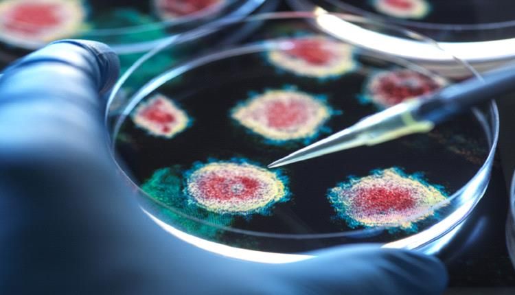 قلق من تفشي مخيف لجائحة جديدة في عام 2025