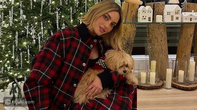 كيف احتفلت نجمات العرب بأجواء الكريسماس؟ إليك أجمل الإطلالات