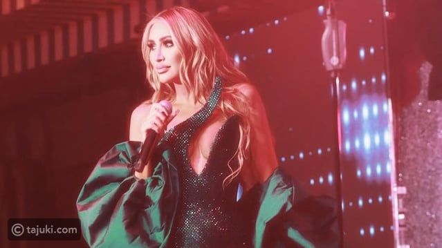 مايا دياب بإطلالات ساحرة في حصاد 2024: الريش يغلب عليها!