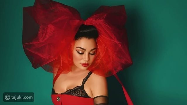 أجمل إطلالات هيفاء وهبي المثيرة والجريئة في عام 2024