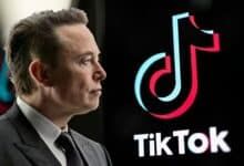 تيك توك تنفي احتمالية بيعها لإيلون ماسك - موقع الخليج الان