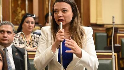 نائبة التنسيقية مي كرم جبر توافق على اتفاقية منع الازدواج الضريبي بين مصر والإمارات.. وتؤكد: حماية للأفراد والمستثمرين والدول - الخليج الان