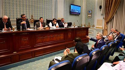 رئيس زراعة النواب: طفرة في المحاصيل الاستراتيجية بعد تحديد أسعار التوريد - الخليج الان