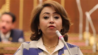 رشا إسحق: القيادة السياسية تمضي بخطى ثابتة في مواجهة التحديات الأمنية والاقتصادية والإقليمية - الخليج الان