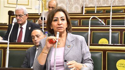النائبة مها عبد الناصر ترفض مشروع الموازنة العامة للدولة للعام المالي 2025/2026: الأرقام ستتغير بسبب الأحداث - الخليج الان