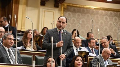 عمرو درويش نائب التنسيقية: المواطن لايفرق معه الأرقام في مشروع الموازنة ..ونطمئنه«واقفين على رجلينا» - الخليج الان