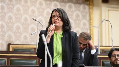 مارسيل سمير "نائبة التنسيقية "تطالب الحكومة بتطبيق سياسة التقشف فى الموازنة العامة - الخليج الان